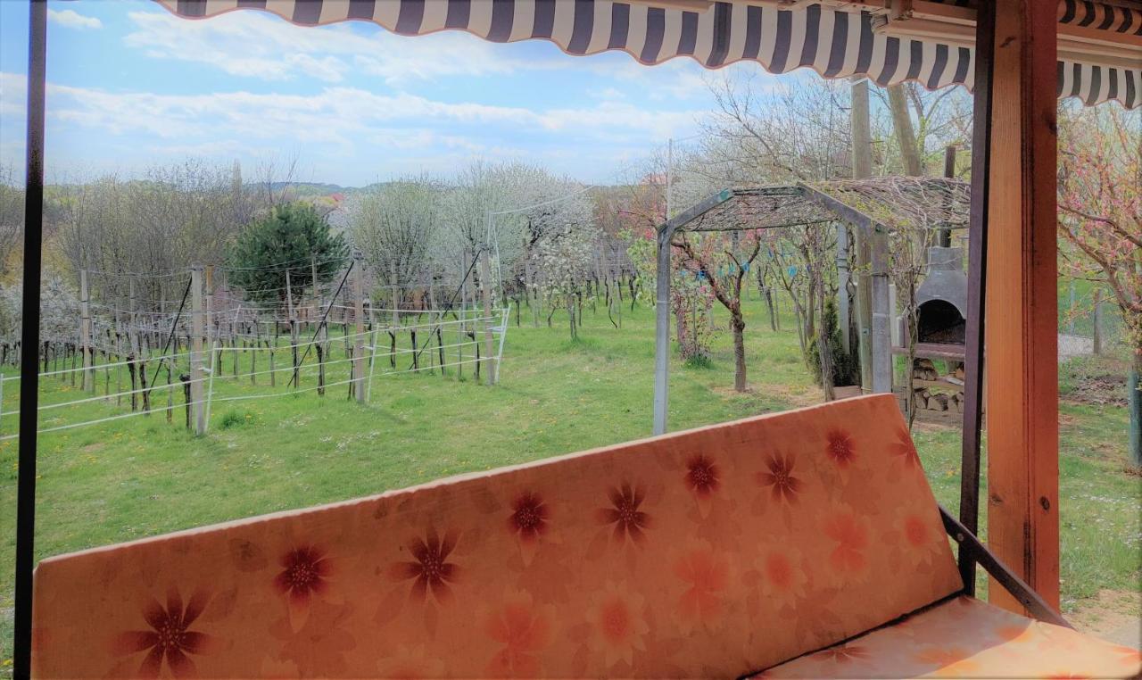 Apartma-Spa Natura Sveti Jurij ob Scavnici Exterior foto