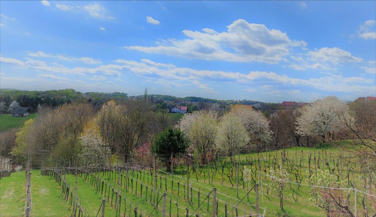 Apartma-Spa Natura Sveti Jurij ob Scavnici Exterior foto