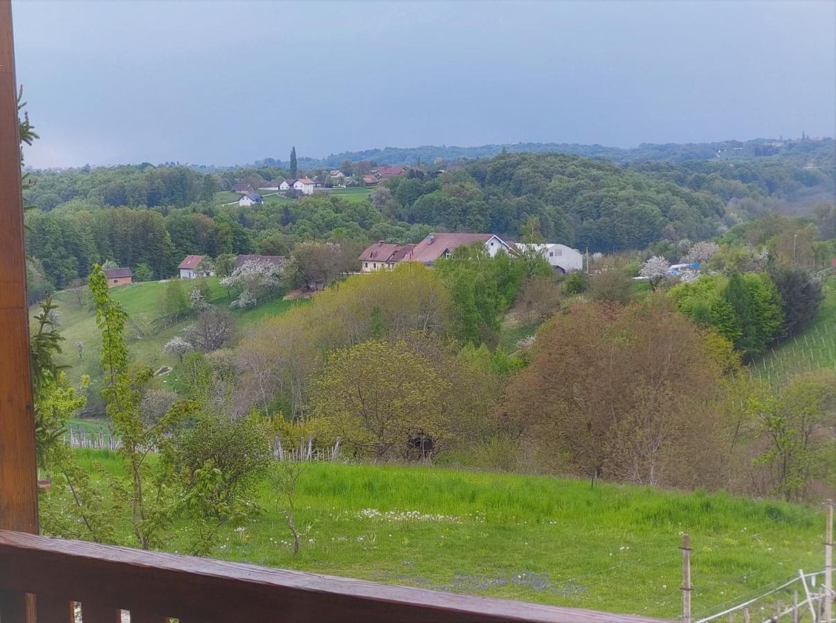 Apartma-Spa Natura Sveti Jurij ob Scavnici Exterior foto
