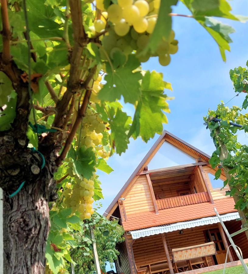 Apartma-Spa Natura Sveti Jurij ob Scavnici Exterior foto